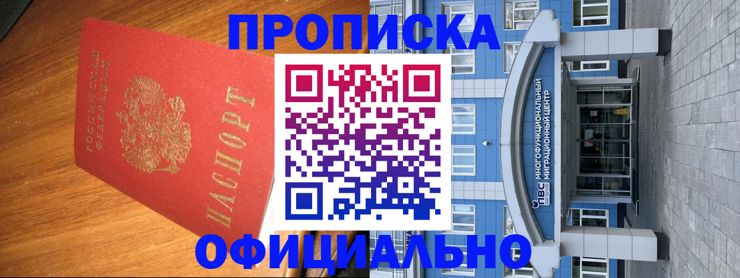 временная регистрация для школы в Камчатской области